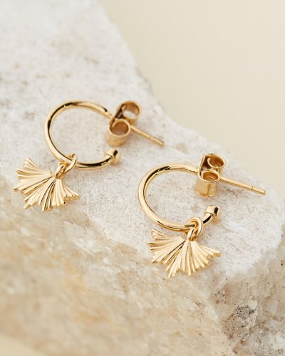 Vita Signature Hoops