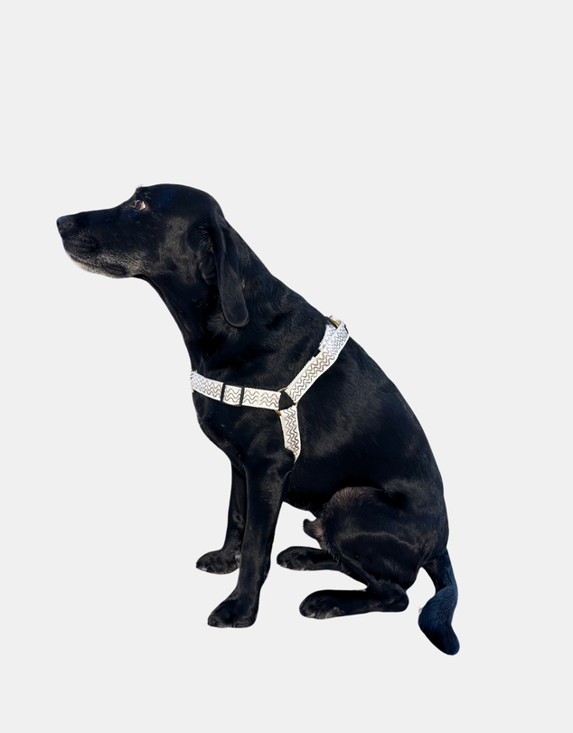 Mog & Bone - Hemp Harness - Mocha Wave