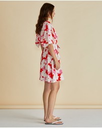 Betty Basics - Gwenda Dress
