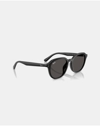Ray-Ban - RB4459D