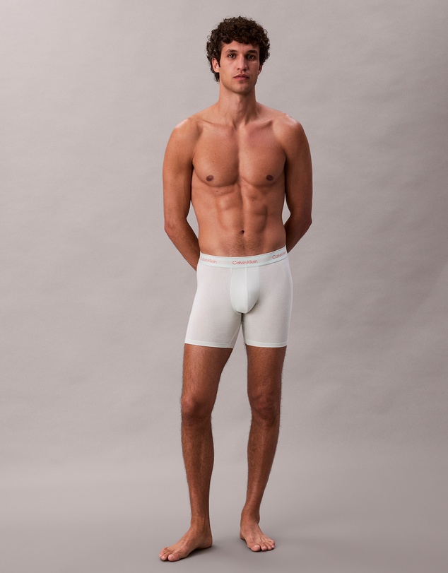 Calvin Klein - Icon Cotton Stretch 3 Pack Boxer Briefs