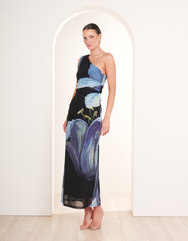 Pilgrim - Paris Printed Mesh Maxi Dress