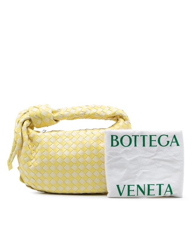 Pre-Loved by Azura Reborn - Pre-Loved Teen Bicolor Nappa Intrecciato Dragon Jodie