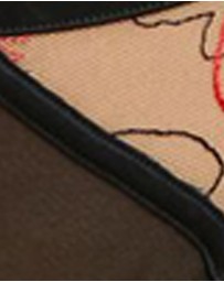 Sans Complexe - Alberta Sheer Mesh Tanga Brief with Embroidery