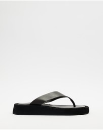 Tony Bianco - Ives - ICONIC EXCLUSIVE
