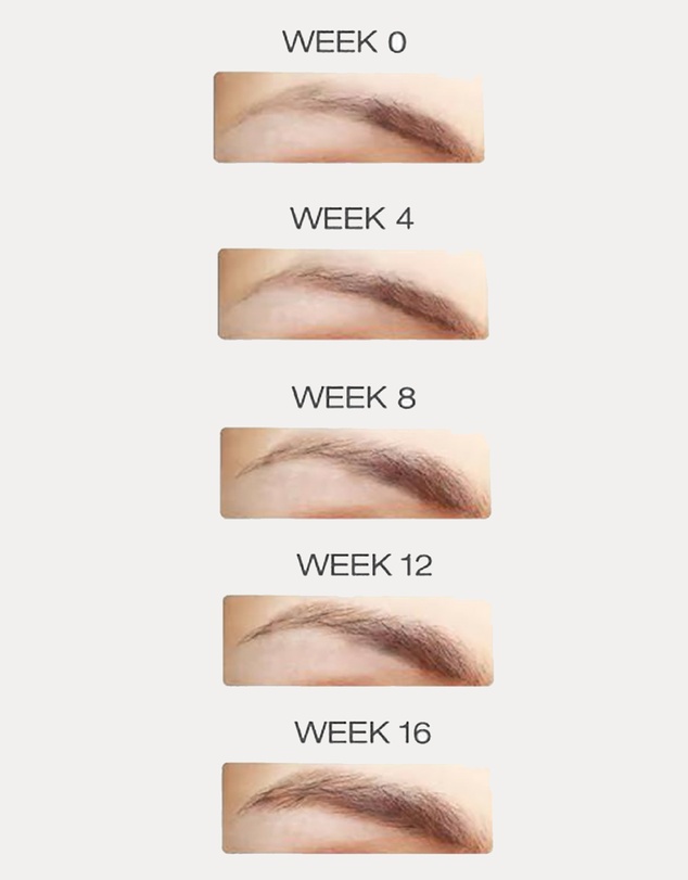 LASH FOOD - Eyebrow Enhancing Serum