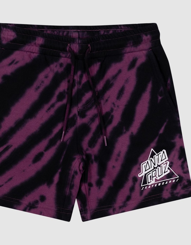 Santa Cruz - Not A Dot Hollow Track Shorts - Teens