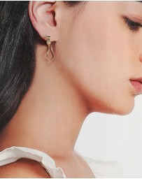 ALDO - Alalentar Multipack Gold Plated Earrings