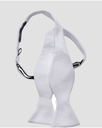 Abelard - Bow Tie