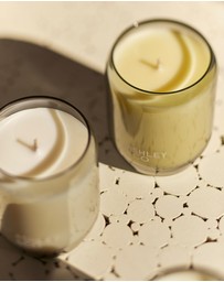 Ashley & Co - Waxed Perfume 310g