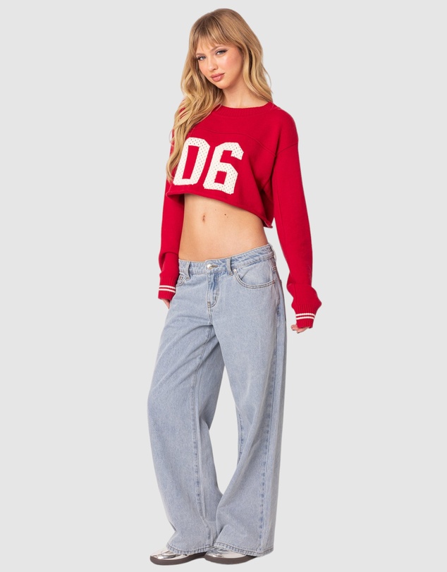 EDIKTED - Varsity Cropped Sweater