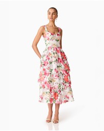 Elliatt - Roselle Frill Midi