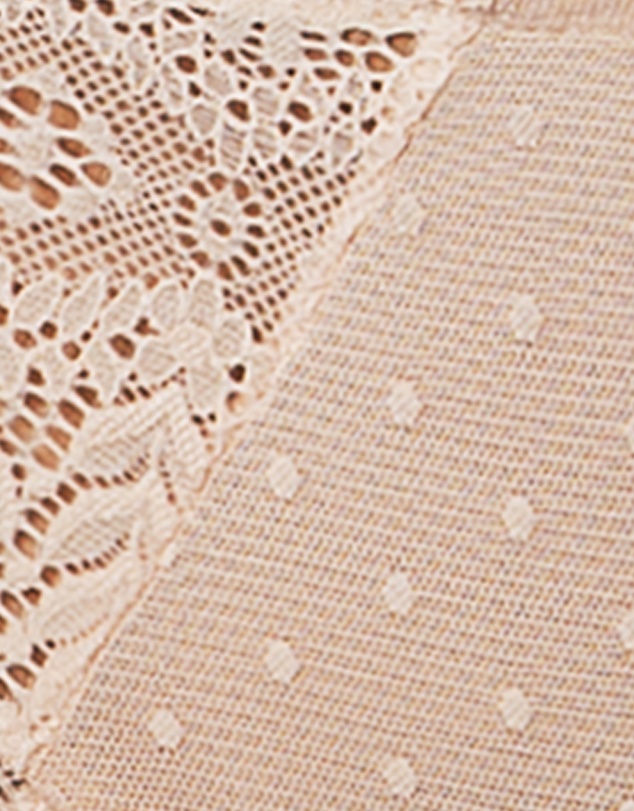 Parfait - Mia Sheer Mesh & Lace Hipster Brief