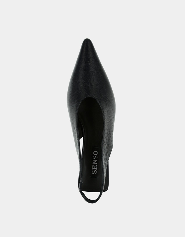 Senso - Hayden I