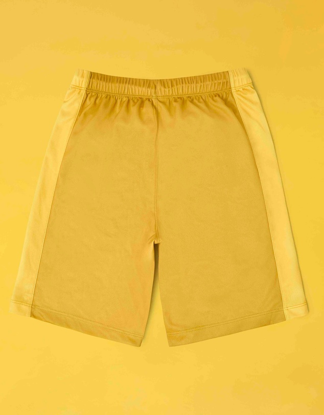 Roarsome - Cub the Lion - Riders Shorts