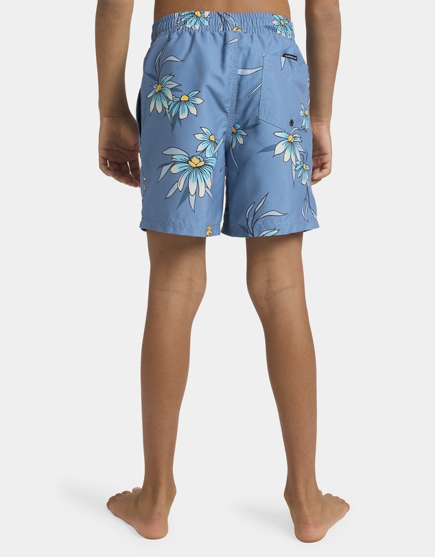 Quiksilver - Boys 8 to 16 Everyday 14
