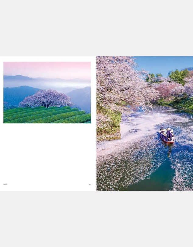 Brumby Sunstate - Japan: Voyage Collection