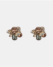 ALDO - Brocla Earrings