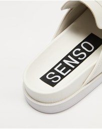 Senso - Zayn I