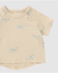Susukoshi - Boxy Tee x Pant Set