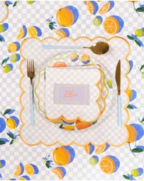 The Somewhere Co - Sorrento Napkins - Pack of 4