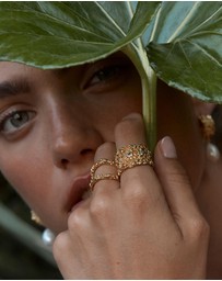 Amber Sceats - Spruce Ring