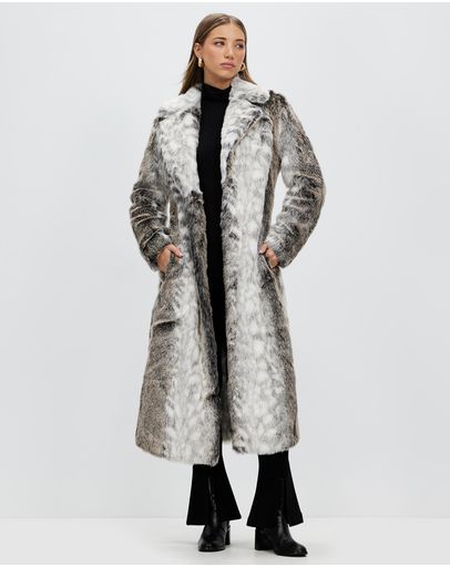 Snow Leopard