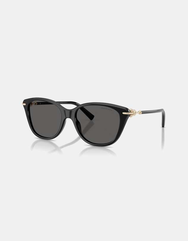 Tiffany & Co. - 0TF4267