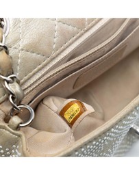 Pre-Loved by Azura Reborn - Pre-Loved Mini Rectangular Iridescent Calfskin Strass Embellished Single Flap