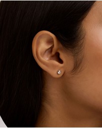 Ted Baker - Sinee Mini Crystal Stud Earrings