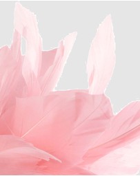 Max Alexander - Modern Pink Racing Fascinator