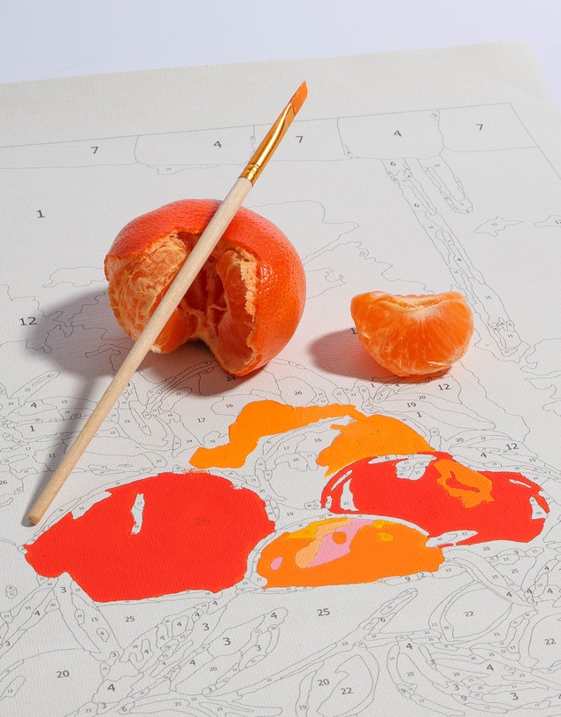Journey Of Something - Paint by Numbers - Bowl of Oranges