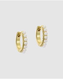 Ted Baker - Persia Pearl Huggie Earrings
