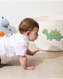 Living Textiles - Cotton Rope Embroidered Hampers - Dinosaur