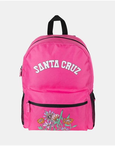 Santa Cruz - Field Arch Backpack - Teens