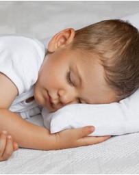 Living Textiles - Cotton Toddler Pillow