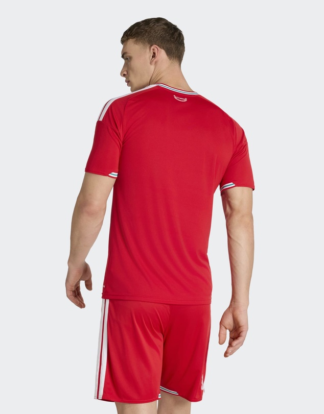 adidas Performance - Wales 26 Home Football Jersey Mens