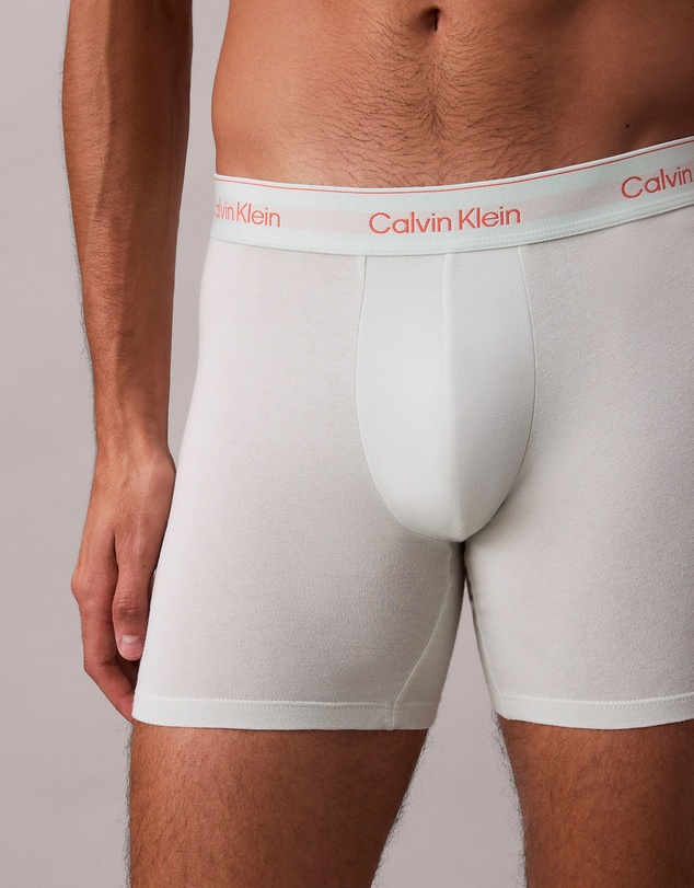 Calvin Klein - Icon Cotton Stretch 3 Pack Boxer Briefs