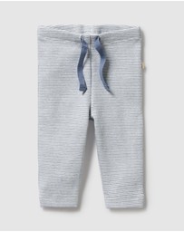 Wilson & Frenchy - Organic Stripe Rib Leggings - Babies