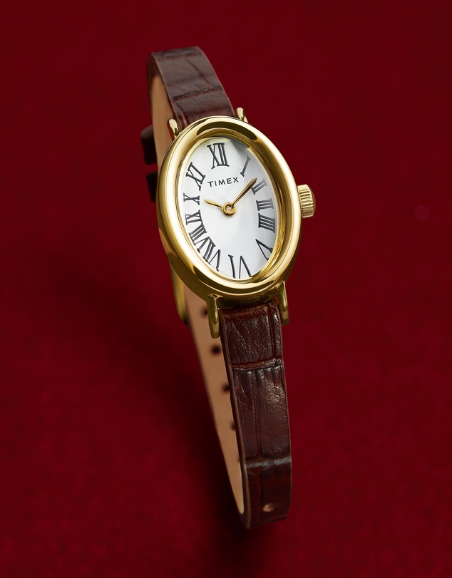 TIMEX - Women's Cavatina Gold-tone Case with Brown Strap