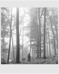 Universal Music - Crosley Record Storage Crate & Taylor Swift Folklore (In The Trees Edition) - Double Vinyl Album Bundle