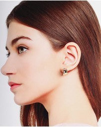 ALDO - Everlly Earrings