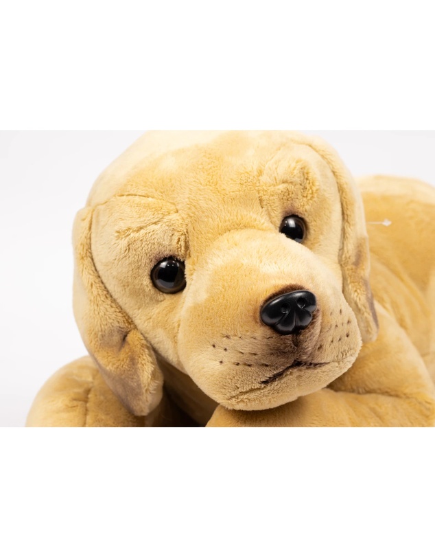 Animal Allsorts - Myles The Labrador