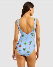 Seafolly - Playa Bonita DD One Piece Swimsuit