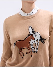 Marcs - Foal-mates CSC Knit Top