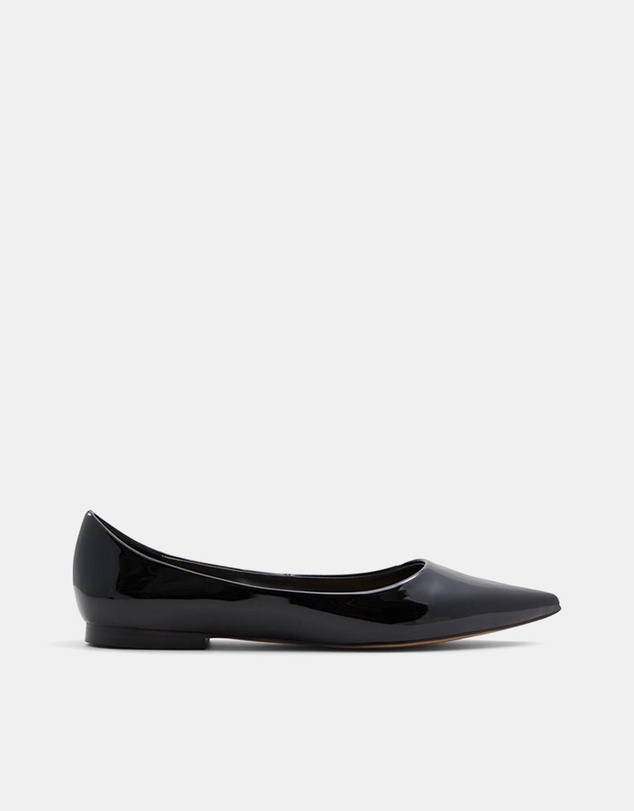 ALDO - Stessy Flat Pointed Toe Ballerina Flats