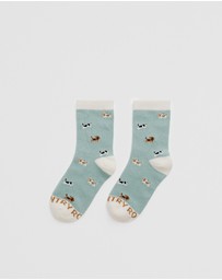 Country Road - Dog Sock