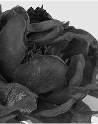 Fillies Collection - Large Black Flowers Headband