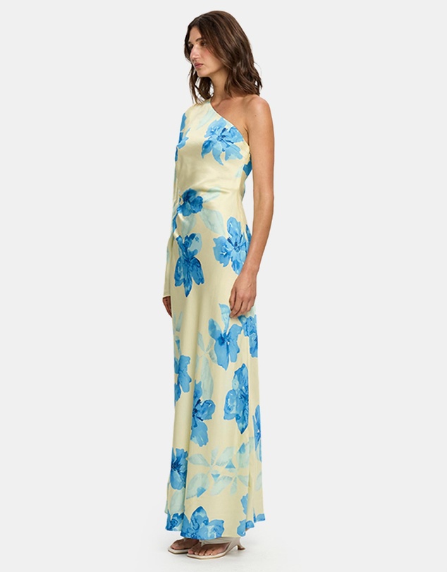 KIVARI - Sophie One Sleeve Maxi Dress