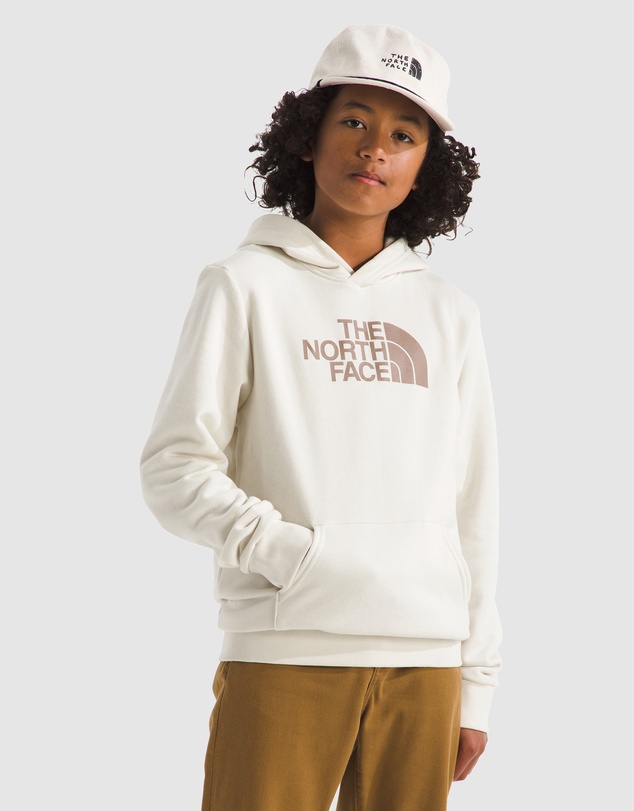 The North Face - Evolution Half Dome Pullover Hoodie - Teens